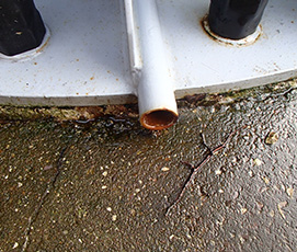 Shell Drain